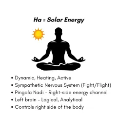 "Ha" represents our solar energy. It is dynamic, heating, and active, linked to the sympathetic nervous system (fight or flight), the left brain, and the Pingala Nadi.