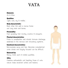 A detailed look at the Vata body type, which is characterized by a thin frame. I create specific diet plans to help balance Vata qualities for better health and stability.