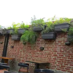 This project at Pub Factory in Gurgaon involved adding greenery to their rooftop and outdoor areas, using large date palms, topiary trees, and wall-mounted planters to create a rustic, green ambiance.
