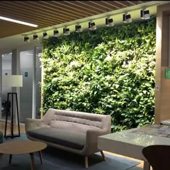 An indoor green wall serves as a living backdrop in this office waiting area. The natural element infuses the space with a sense of calm, making it a more pleasant area for guests and staff.