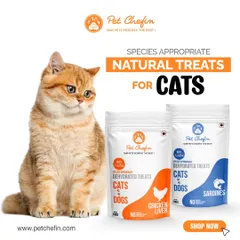 As obligate carnivores, cats need meat. We provide delicious, species-appropriate natural treats like our air-dried Chicken Liver and Sardines to satisfy their instincts and nutritional needs.
