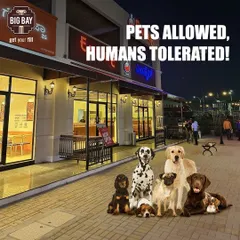 Pets allowed, humans tolerated. We love seeing your furry friends enjoying their time at Big Bay.