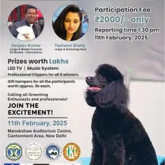 I was honored to be a judge for this Salon Freestyle grooming competition in New Delhi. Events like these are crucial for encouraging new talent and pushing the standards of professional grooming in India.