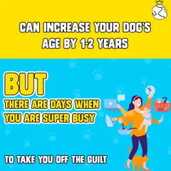 We know you want the best for your dog, but there are days when you are super busy with life's demands. We're here to take away the guilt by providing reliable transport, so your pet never misses out on care or fun.