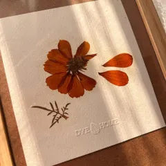 A closer look at the framed cosmos flower I grew in my garden. I arranged it with a few fallen petals to capture a sense of delicate movement. The piece is embossed with my studio name, 'Dye Home'.