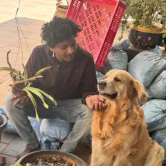 It looks like the new orchid plant has been approved by the head supervisor. Getting a gentle boop from a golden retriever is definitely one of the perks of the job.