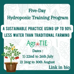 Our five day hydroponic training program is a sustainable practice that uses up to 90% less water than traditional farming. Join us to learn more.