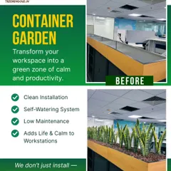An office is more than just desks and chairs. We transformed this plain workstation divider into a living container garden, adding a touch of nature that boosts productivity and calms the mind. Our self-watering system ensures it stays fresh with zero effort from the staff.