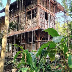 The prefab earthen cottage in Moira, Goa, during construction. The structure, made with a wooden frame and woven bamboo (wattle), sits lightly in its tropical setting, surrounded by banana trees and hanging vines.