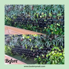 The "Before" state of a vertical garden in need of care. Many pockets are empty or contain struggling plants. This is the kind of challenge our green wall maintenance contracts are designed to solve.