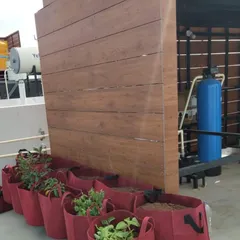 For this terrace, we used fabric grow bags which are great for rooftop gardening. They are lightweight and provide excellent drainage for growing healthy vegetable saplings like the brinjal and tomato plants you see here.
