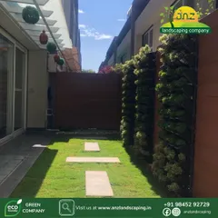 A duplicate of media ID 6. A daytime perspective of the residential courtyard, looking down the lawn path. The vertical gardens on the side add privacy and greenery without sacrificing valuable floor space in this narrow outdoor area.