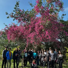A large group of students from AMC Engineering College standing in front of a beautiful bougainvillea tree. Our treks combine natural beauty with valuable learning experiences.