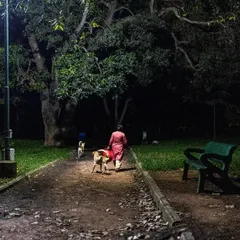 Bhook toh sabko lagti hai na? A feeder walks through the park at night, making sure no one goes to sleep hungry. This is our nightly ritual.