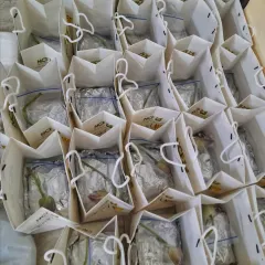 A bulk order of delightful Khechri, packed in individual bags and ready to go.