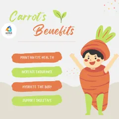 Carrots are more than just good for your eyes. This humble vegetable helps increase endurance, hydrates the body, and provides essential fiber to support your digestive system.