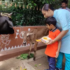 Experiential learning is at the heart of what I do. When a cow and her calf visited us, the children learned about empathy and our connection to other living beings by feeding them directly.