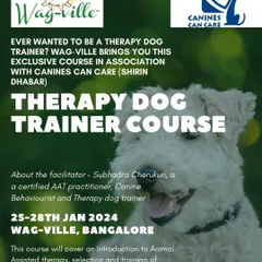 Here is another look at the Therapy Dog Trainer course I help facilitate. It's an enriching journey that helps transform a four-legged friend into a compassionate, skilled therapy dog.