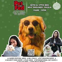 We were excited to be event partners for PetFed Delhi, India's biggest pet festival. Our team was on hand providing master classes and grooming services to all the furry attendees.