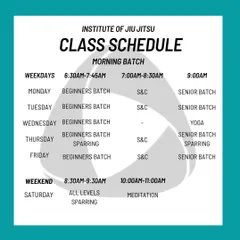 An overview of our class structure, including Beginners Batch, Strength & Conditioning, Senior Batch, Yoga, and all-levels Sparring. We aim to provide a holistic training experience.