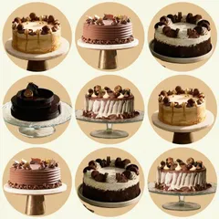 This is my ultimate cake collection, featuring a variety of flavors and designs. From caramel drizzles to rich chocolate layers, each cake is crafted to be the centerpiece of your celebration.