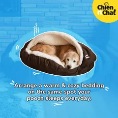 A warm and cozy bed is key to managing your pet's comfort in winter. I have options like this plush cave bed that provides a perfect spot for your doggo to snuggle in.