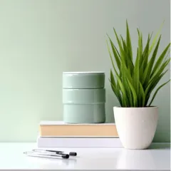 A small, vibrant green desk plant in a white ceramic pot. This type of compact plant is ideal for adding a touch of nature to individual workstations or minimalist shelves.