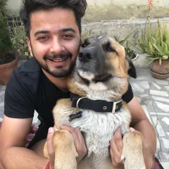 A quiet moment with my boy Brownie. The bond we share is a daily reminder of why I am so passionate about helping others connect with their dogs on a deeper level.