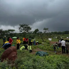 On a rainy afternoon, 70 students from The Shri Ram School Moulsari brave the weather to plant native species at Aravali Nagar Van, a 180-acre degraded forest we are restoring.