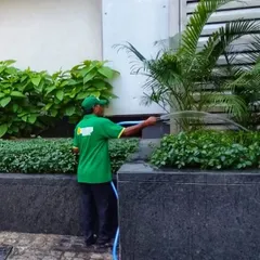Proper watering is more than just a daily task. Our expert understands the specific needs of different plants and soil conditions, ensuring they receive the right amount of hydration without overwatering.