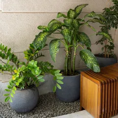 This composition of planters, pebbles, and a slatted wood bench is an example of intentional design. The interplay of textures and natural elements contributes to a cohesive and calming narrative within the space.