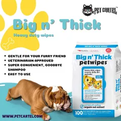 For those times you need a quick cleanup without a full bath, these Big n' Thick pet wipes are perfect. They are gentle, veterinarian-approved, and super convenient for removing daily dirt and odor.