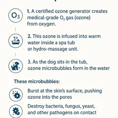 Here’s a step-by-step look at how the Ozone Bubble Spa works. A generator creates ozone, which is infused into the water, forming microbubbles that burst on the skin's surface to deliver healing oxygen and destroy pathogens.