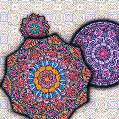 This detail shot highlights one of the octagonal mandalas. The bright pinks, blues, and oranges are chosen to represent the energy and emotion of life's journey.