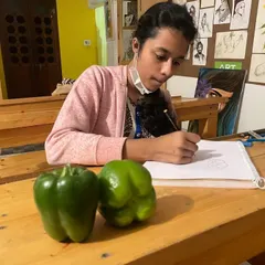 Learning to see is the first step to learning to draw. A student in our junior class practices still life drawing, carefully observing the form, light, and shadow on capsicums to translate a three dimensional object onto paper.
