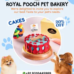 This vibrant blue and red cake is one of my most popular designs. It's decorated with bone-shaped biscuits, combining a fun look with a crunchy treat.