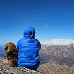 Just me and my furry guide, taking in the vastness of the Himalayas. These are the moments of peace and reflection that make all the hard work of the climb worth it.
