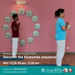 A glimpse into our Sivananda Community Class, where students learn the foundational sequence of our tradition. This image shows the focus and grace cultivated through the practice of asanas, guided by our experienced teachers.