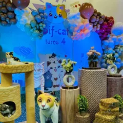 A purr-fectly delightful cat-themed party for a 4th birthday. We created a cozy and fun atmosphere with cat trees, character cutouts, and a custom backdrop.