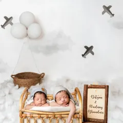 These twin wanderers are ready for an adventure in the clouds! This imaginative travel theme uses a tiny bed, clouds, and airplanes to create a magical world for them.