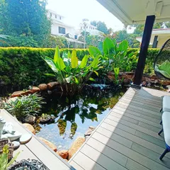 I design and build custom koi ponds that become the tranquil centerpiece of a garden. This natural-style pond is surrounded by a wooden deck, river stones, and water-loving plants, creating a perfect spot for relaxation.