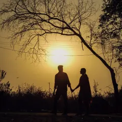 A beautiful sunset silhouette of a couple holding hands under a tree, capturing a classic and timeless romantic moment.