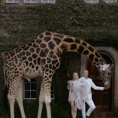 Some wedding shoots are more than just a job; they are adventures. At Giraffe Manor in Kenya, we didn't just take photos. We shared quiet mornings with Monica and Nate as these gentle creatures became a part of their love story. This is the kind of destination wedding photography that stays with you forever.