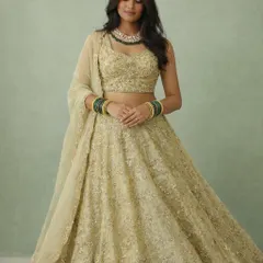 A full-length view of a stunning light green lehenga, fully embellished with shimmering gold and silver work. This outfit is perfect for an engagement or reception, offering a look of subtle grandeur.