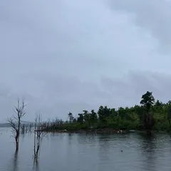 A panoramic view of the Vani Vilas Sagar backwaters on an overcast day, highlighting the vast and tranquil landscape.