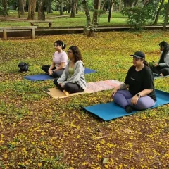 Participants meditating during our weekend yoga session in the park. It's a wonderful experience to guide people in such a serene, natural environment.