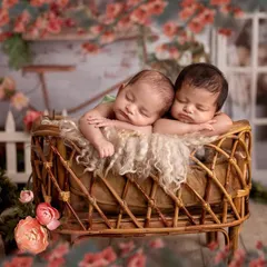 Another angle from the floral Bridgerton setup, showing the two babies nestled together peacefully. My studio is filled with props to create these beautiful, story-like scenes.