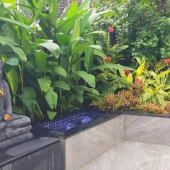 This is a recently completed tropical garden landscaping project. We incorporated a tranquil Buddha statue and a small water feature alongside lush foliage like Calathea and flowering bushes to create a complete, sensory garden experience.