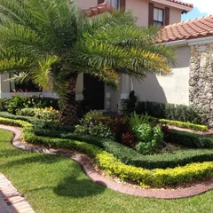 We use curved garden beds and a variety of shrubs to create a soft, natural border around this home's foundation. The mature palm tree serves as a beautiful focal point for the front yard.