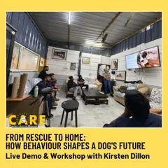 A different angle of our dog behavior workshop, showing the engaged audience. We believe in continuing education to better understand and communicate with the animals in our care, helping them on their journey to a forever home.